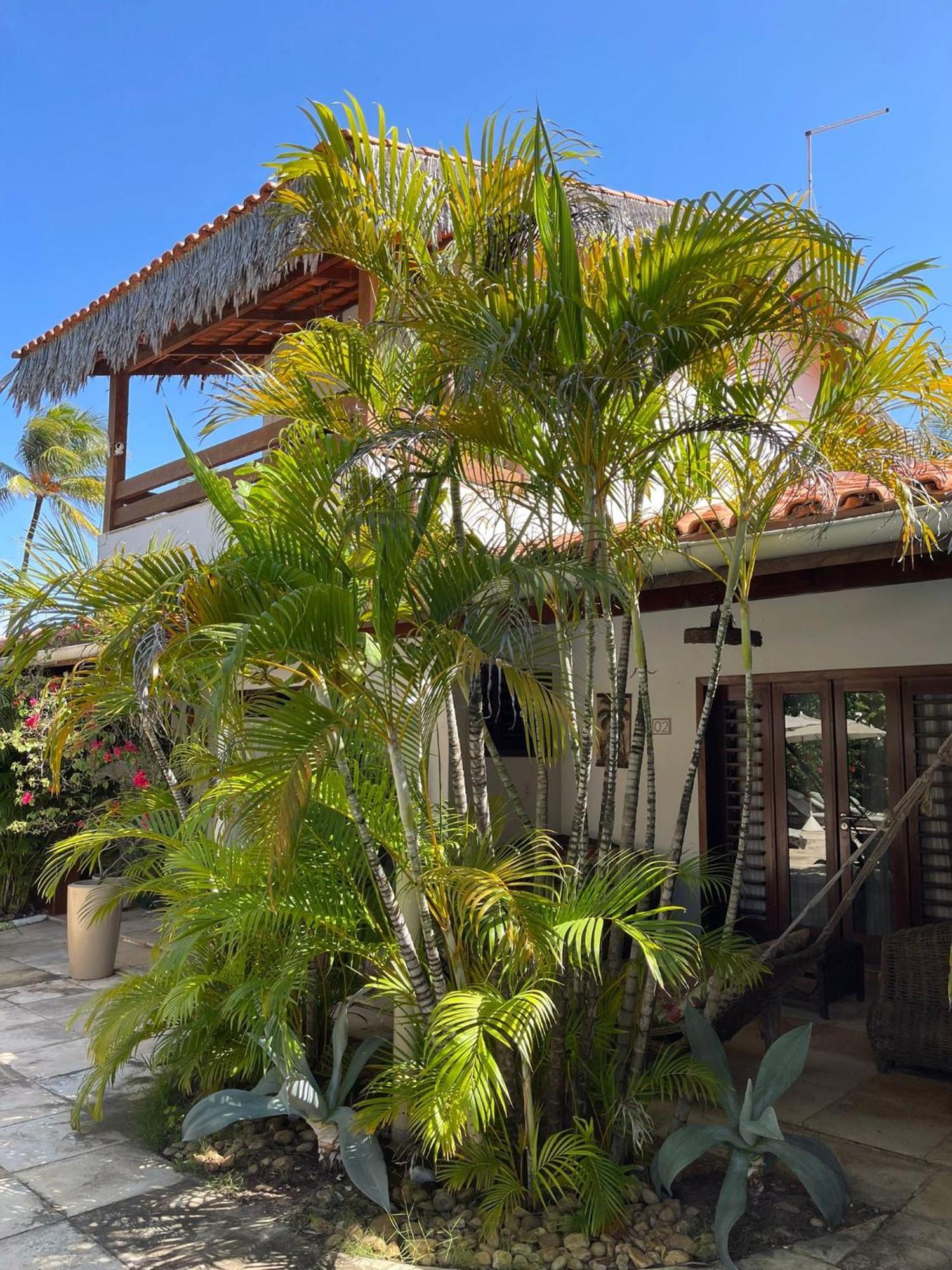 Controvento Boutique Hotel Cumbuco Exterior foto